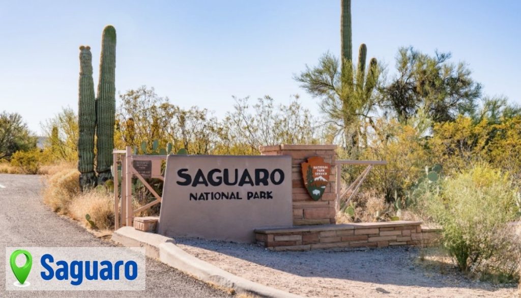 Saguaro National Parks