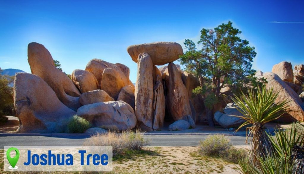 Joshua Tree National Park